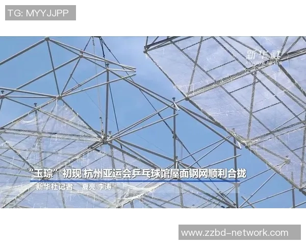 杭州乒乓球队运营揭秘深度解析背后的管理与发展策略